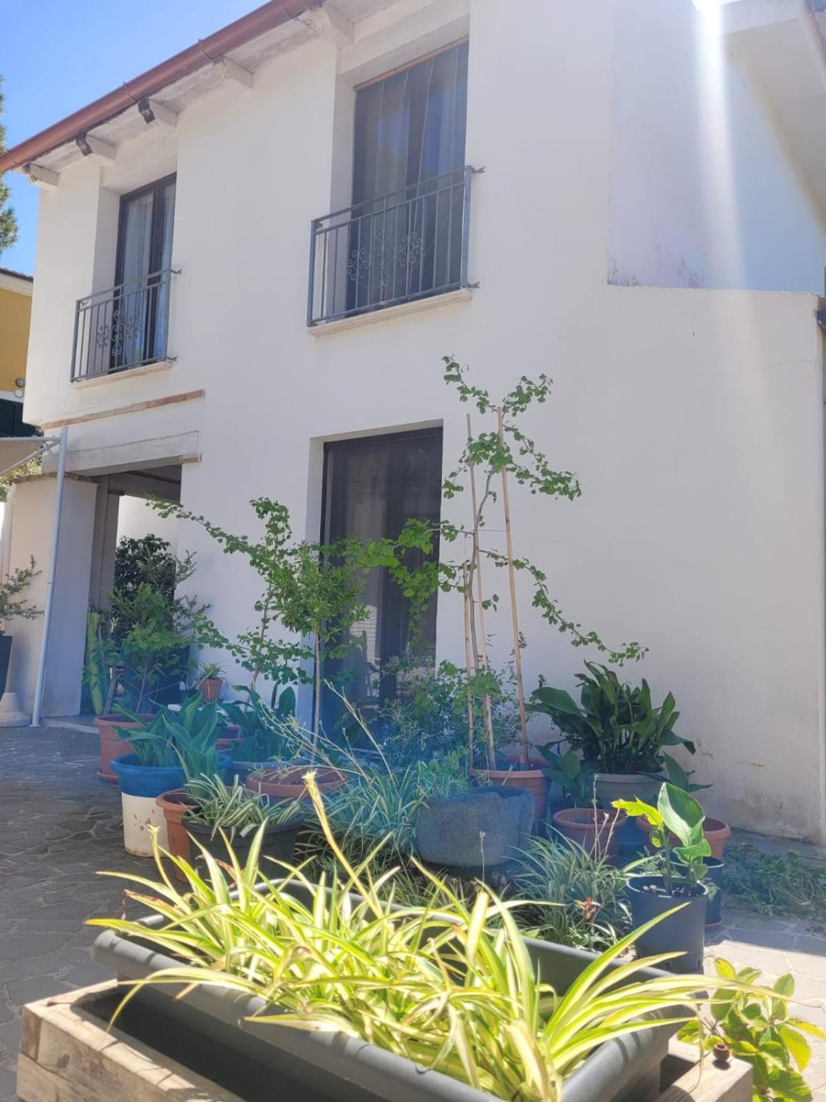 Villa La Conchiglia Rooms Cala Liberotto Buitenkant foto