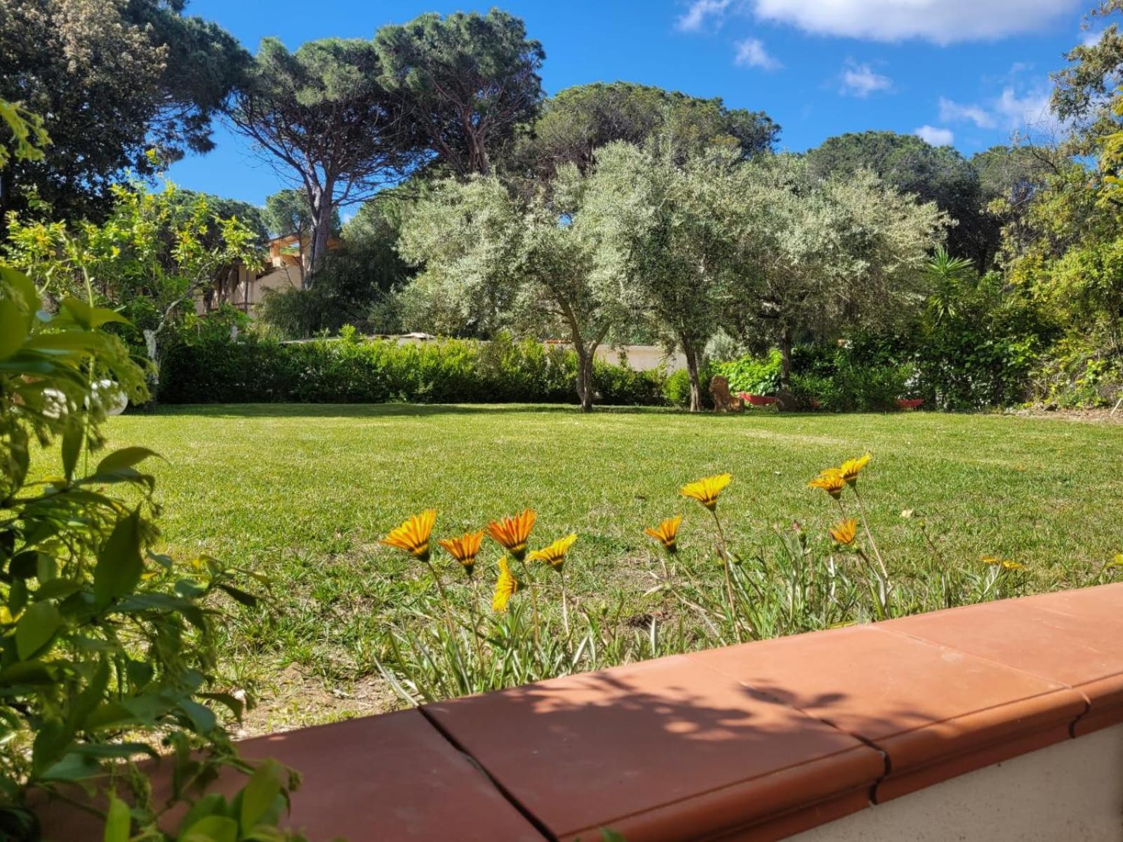 Villa La Conchiglia Rooms Cala Liberotto Buitenkant foto