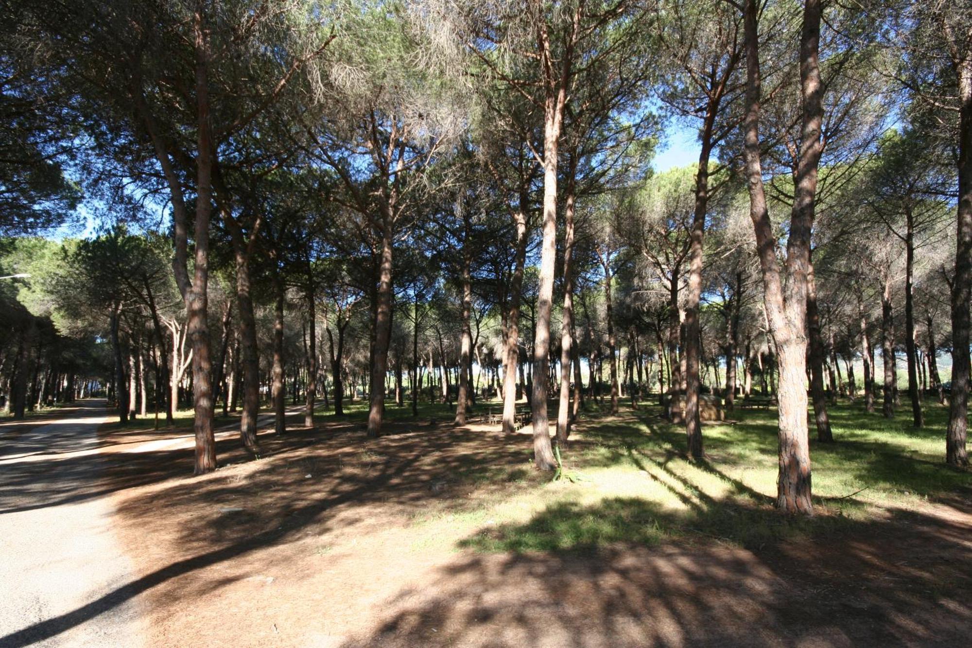 Villa La Conchiglia Rooms Cala Liberotto Buitenkant foto